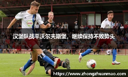 乐虎国际