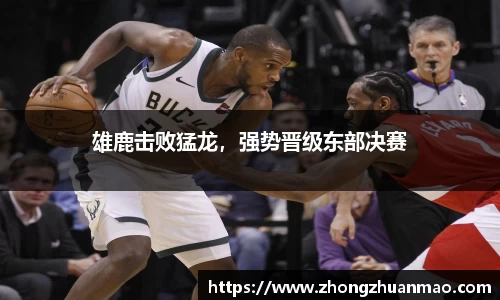 乐虎国际