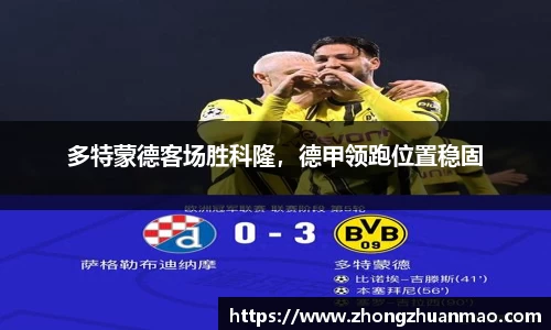 乐虎国际