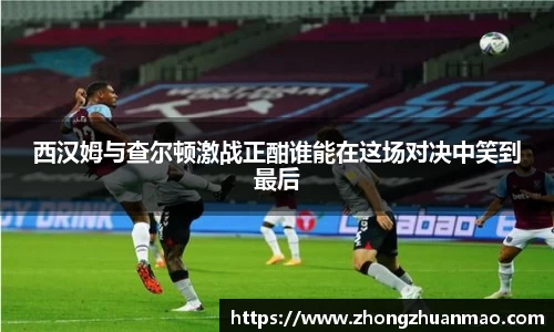 乐虎国际