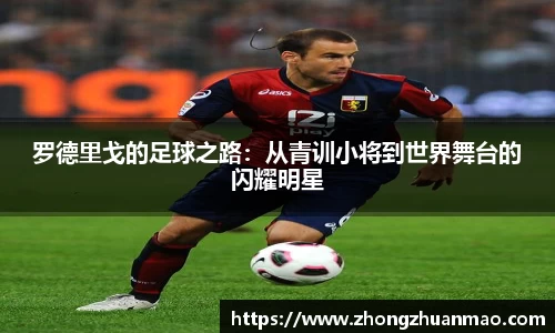 乐虎国际