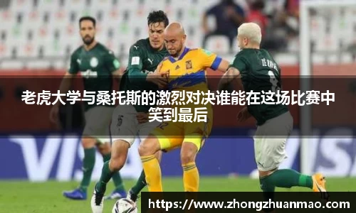 乐虎国际