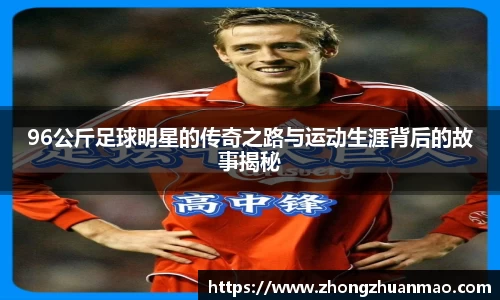 乐虎国际
